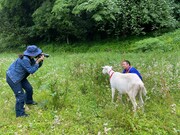 「ヤギと大悟」より。(c)テレビ東京