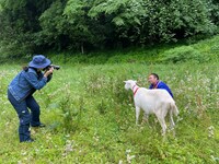 「ヤギと大悟」より。(c)テレビ東京