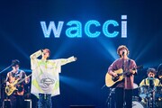 wacci本日のツアーファイナルにasmi登場、8月の公演にナオト・インティライミ＆川崎鷹也