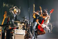 go!go!vanillas（撮影：西槙太一）