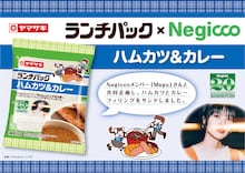 Megu（Negicco）と山崎製パン「ランチパック」のコラボレーション商品は「ハムカツカレー」。