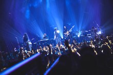 tonun「1st Full AL Release Party『One-man Live』」の様子。（撮影：鳥居洋介）