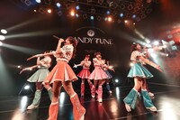 CANDY TUNE