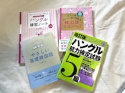 ナタリー編集担当・岸野が学習に使っていた参考書と問題集。「韓国語文法ドリル」はイラスト入りで理解を助けてくれる一冊だったが、前半1/3程度まで進めたところでタイムアップとなり当日を迎えてしまった。