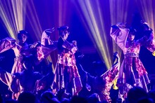「Devil ANTHEM. SPRING TOUR 2023 FINAL東京公演『晩春到夏～春終わり夏来たる日～』」の様子。（撮影：笹森健一）