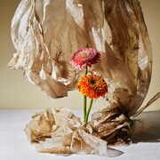 「天使の分け前」配信ジャケット