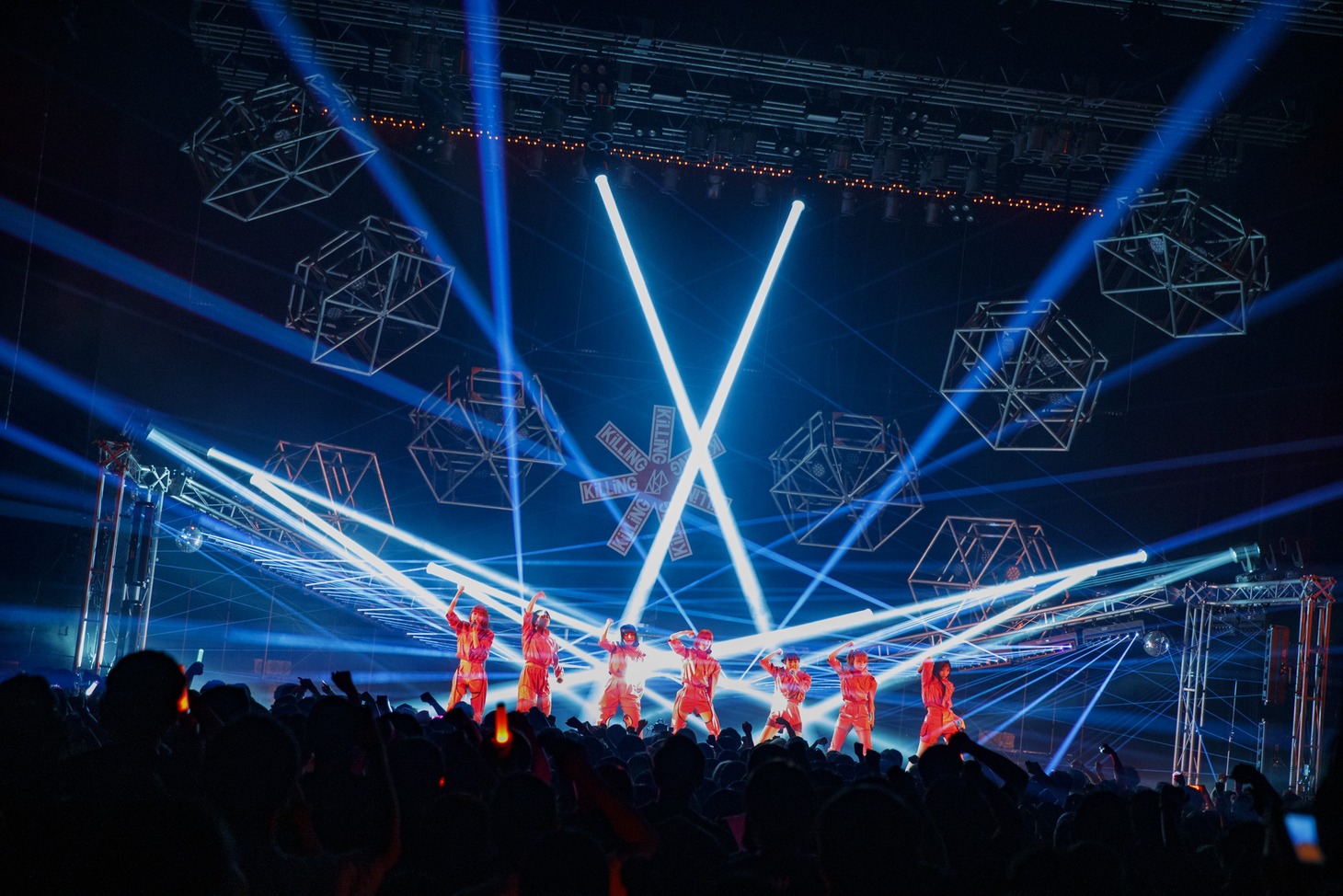 ASP（Photo by sotobayashi kenta）