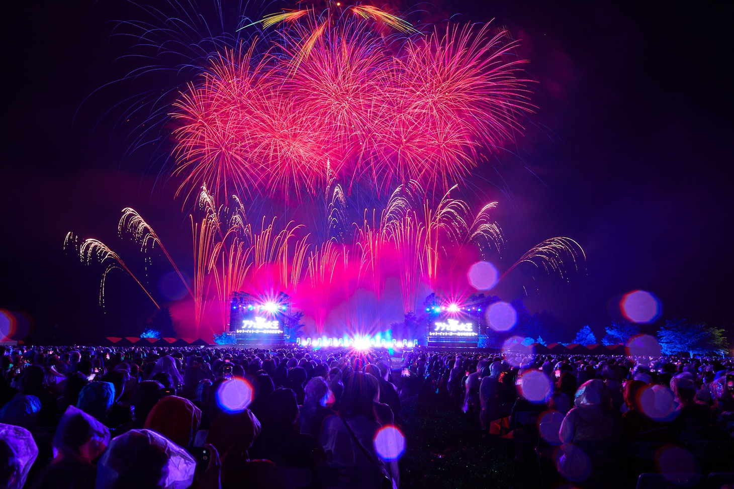 「Disney Music & Fireworks」山梨・山中湖交流プラザ きらら公演の様子。（撮影：中河原理英）