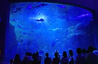 新江ノ島水族館