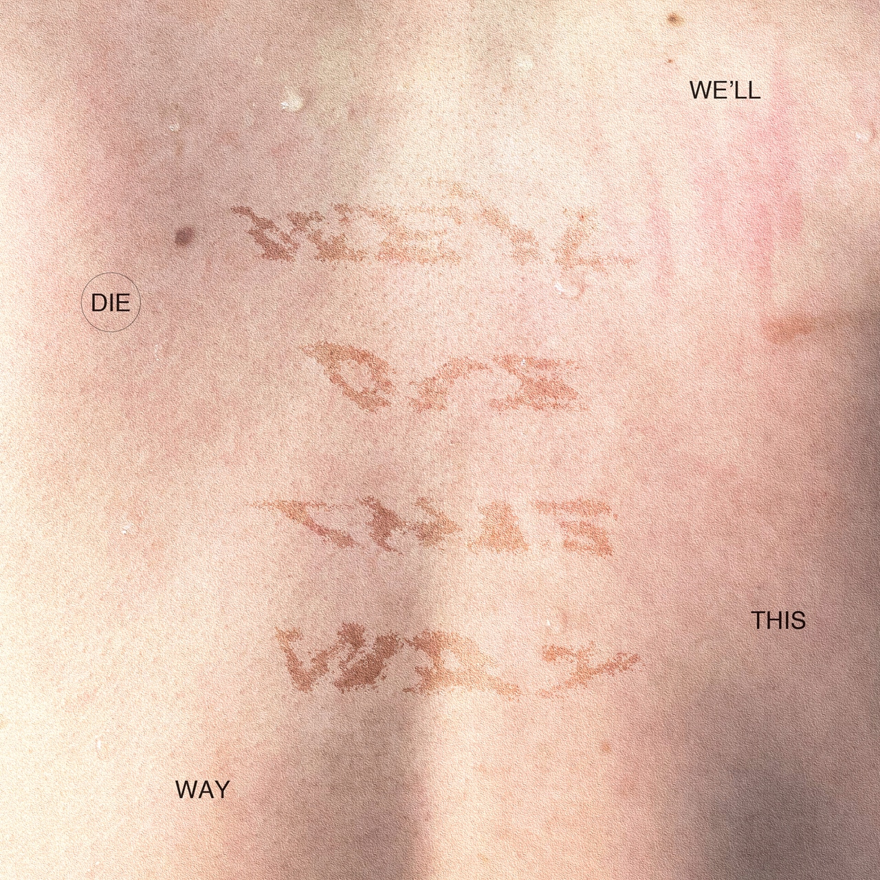 Skaai「WE'LL DIE THIS WAY」配信ジャケット