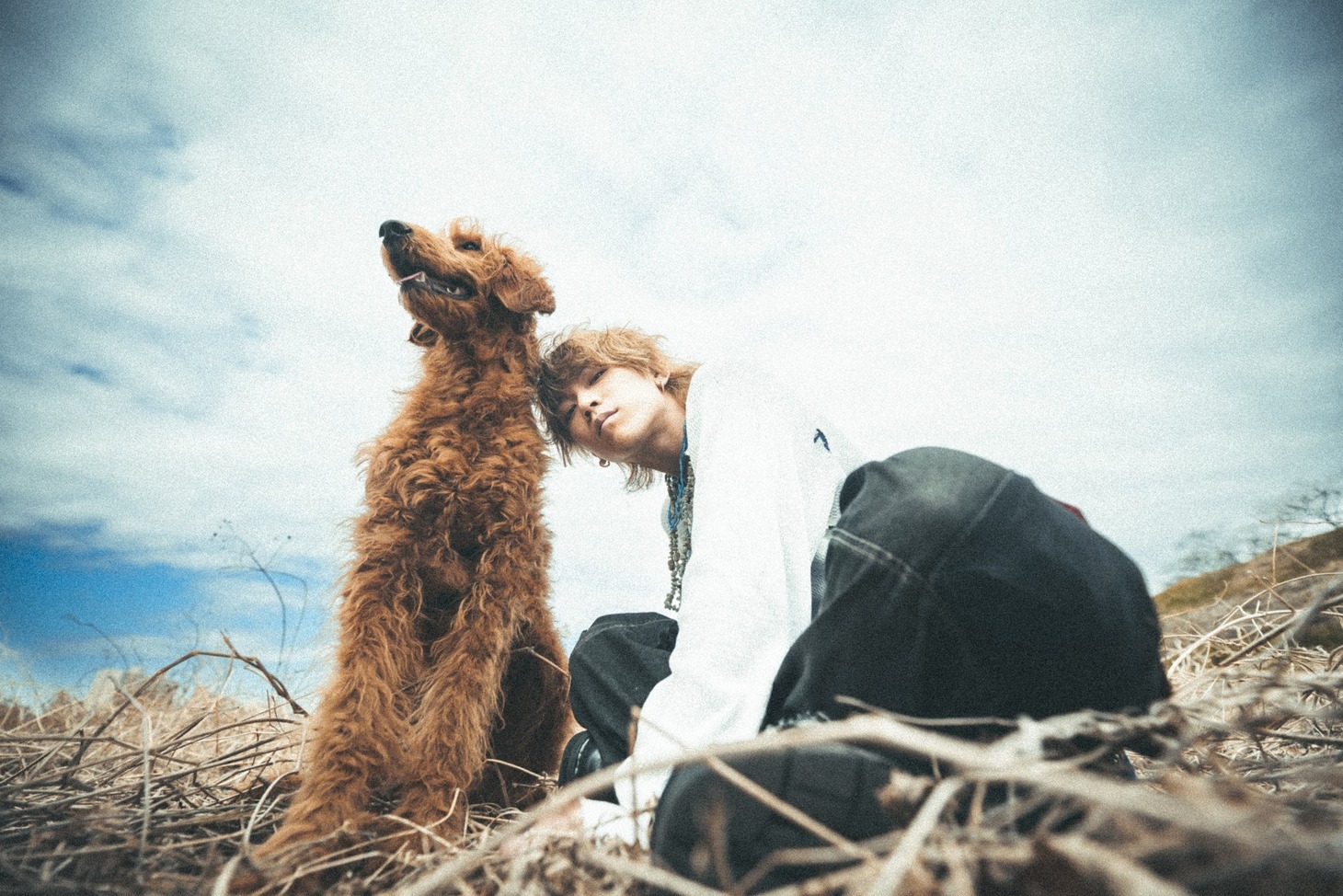 doggie