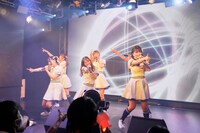 kimikara（きみから）