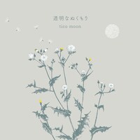 tico moon「透明なぬくもり」ジャケット
