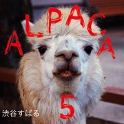 渋谷すばる「ALPACA 5」ジャケット