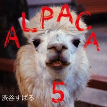 渋谷すばる「ALPACA 5」ジャケット