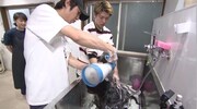 「嗚呼!!みんなの動物園」7月8日放送回より。(c)日本テレビ