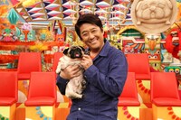 「坂上どうぶつ王国」キービジュアル