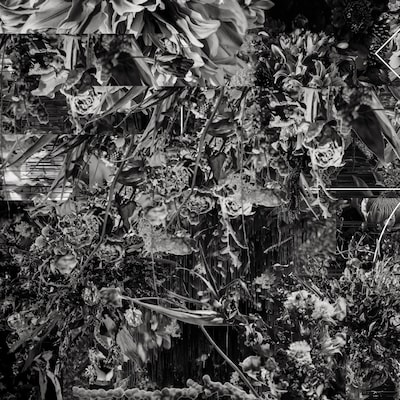 world's end girlfriend「これは予告編です。」配信ジャケット