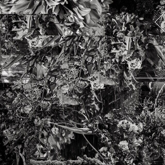 world's end girlfriend「これは予告編です。」配信ジャケット