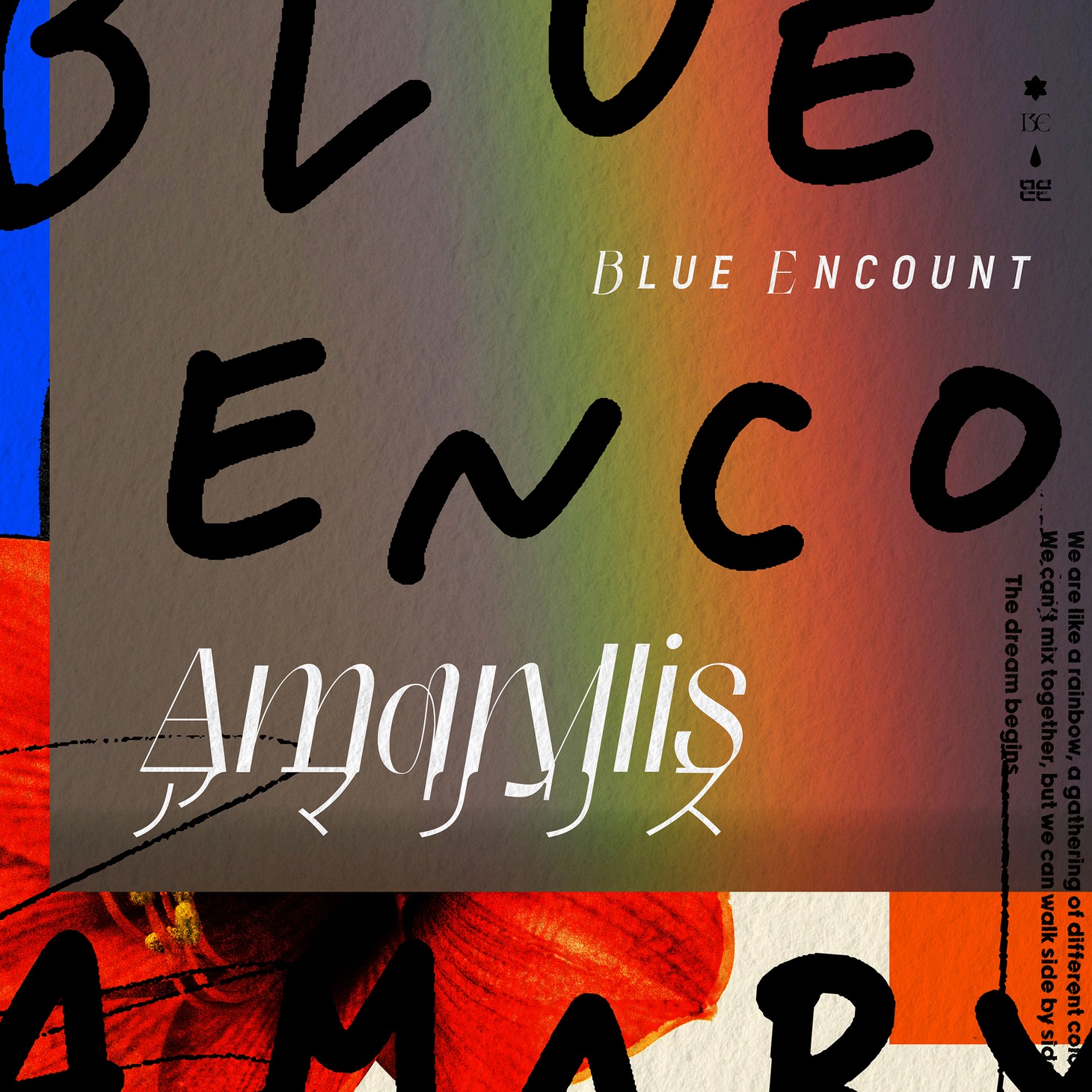 BLUE ENCOUNT「アマリリス」配信ジャケット