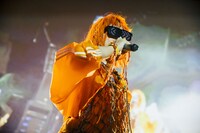 カメレオン・ライム・ウーピーパイ（撮影：横山マサト）