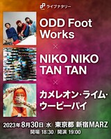 「ライブナタリー “ODD Foot Works × NIKO NIKO TAN TAN × カメレオン・ライム・ウーピーパイ”」告知画像