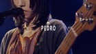 PEDROニューシングル「飛んでゆけ」発売、新代田FEVER公演から「さすらひ」公開