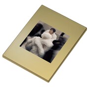 宇多田ヒカルオリジナルGoldミラー