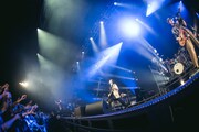 RADWIMPS「BACK TO THE LIVE HOUSE TOUR 2023」東京・Zepp Haneda公演の様子。(Photo by Takeshi Yao)