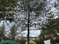 「hoshioto Camp」会場の様子。