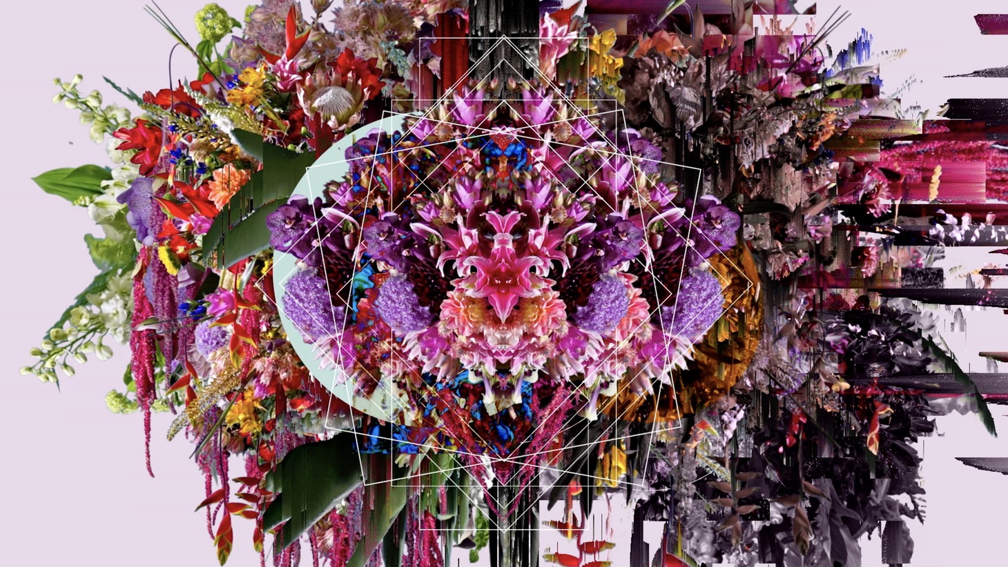 world's end girlfriend「IN THE NAME OF LOVE」ミュージックビデオより。