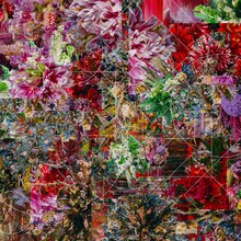 world's end girlfriend「Resistance & The Blessing」ジャケット