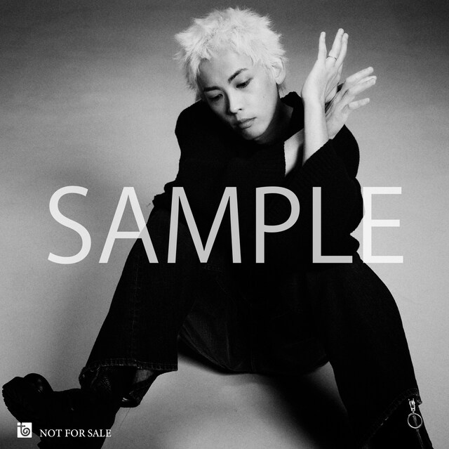 SALU「IN MY ARMS」アザージャケットサンプル画像