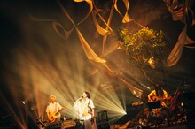 「安藤裕子 -20th anniversary- 我々色ノ街」の様子。（photo by Kana Tarumi）