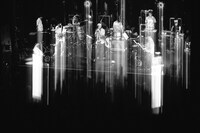 cero（撮影：三浦知也）