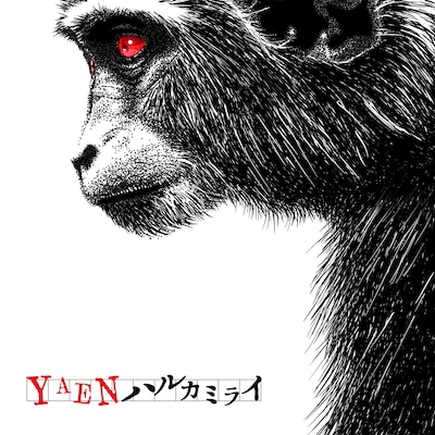 ハルカミライ「YAEN」配信ジャケット