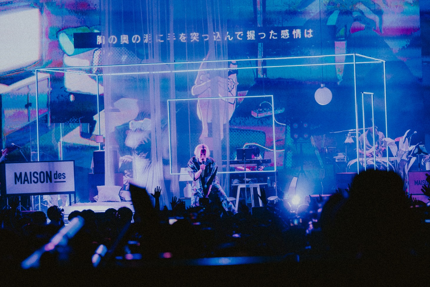 くじら（Photo by Kato Shumpei）