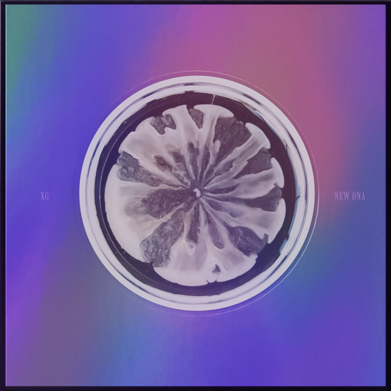 XG「NEW DNA」X ver.ジャケット