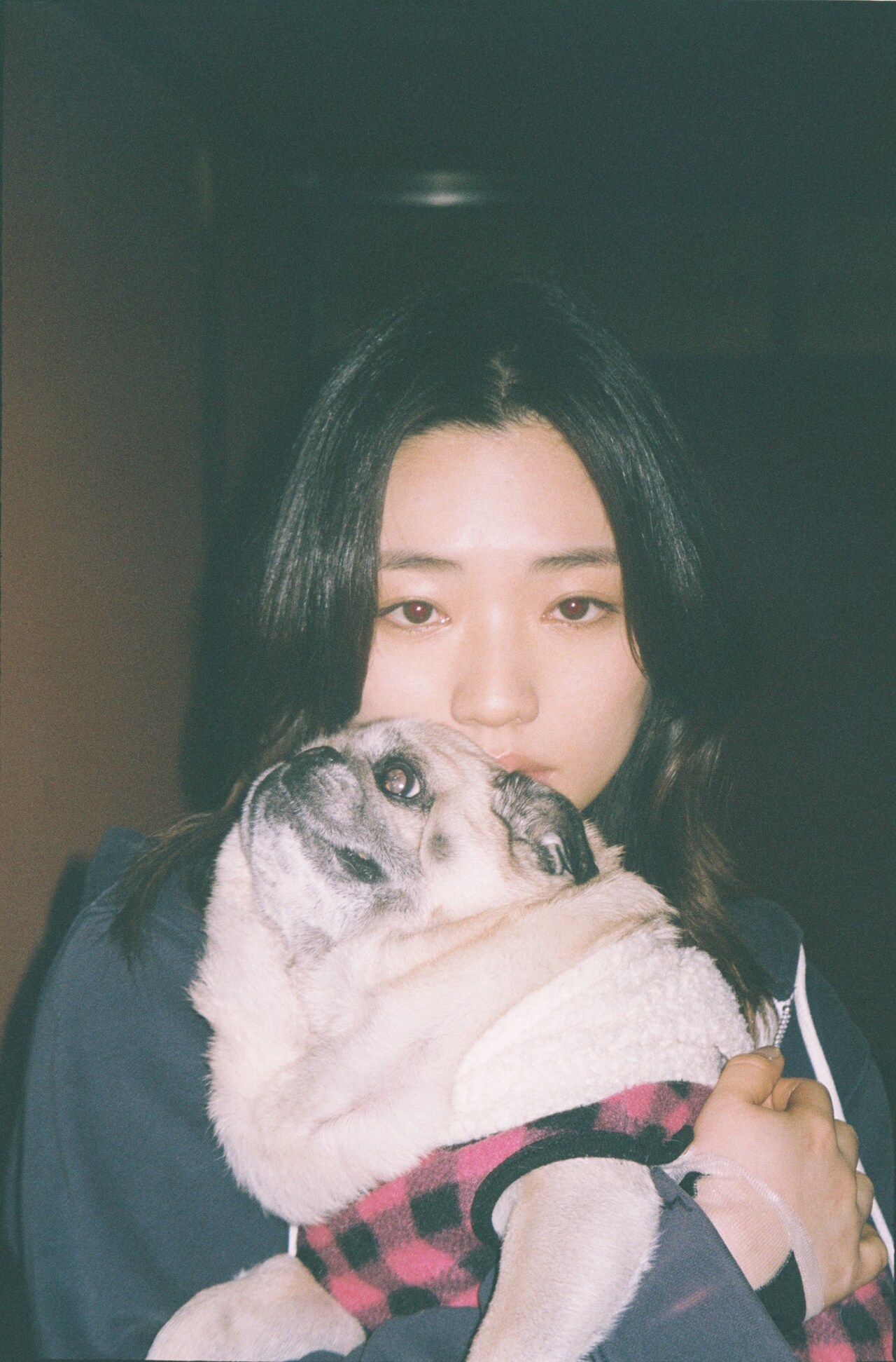 にしな、NHK Eテレのアニメ「ドッグシグナル」エンディングテーマを書き下ろし