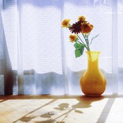 渡ケント「たましいの話（feat.PARIS on the City!）」配信ジャケット