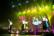Negicco