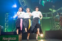 Negicco
