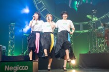 Negicco