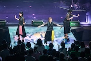 Negicco