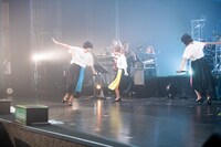 くるくる回るNegicco。