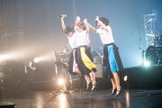 ジャンプするNegicco。