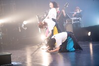 着地に失敗するNegicco。