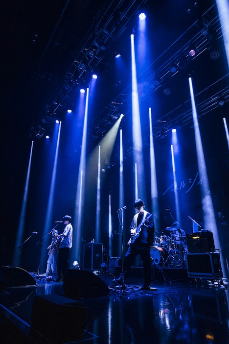「マルシィ one man live tour 2023 "melt into you"」東京・Zepp Haneda（TOKYO）公演の様子。（撮影：横山マサト）