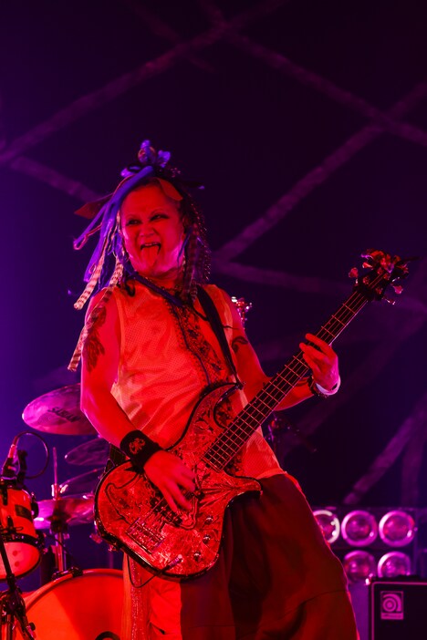 CHIROLYN（B） (c)HEADWAX ORGANIZATION CO.,LTD. / Photo by 田中和子（CAPS）