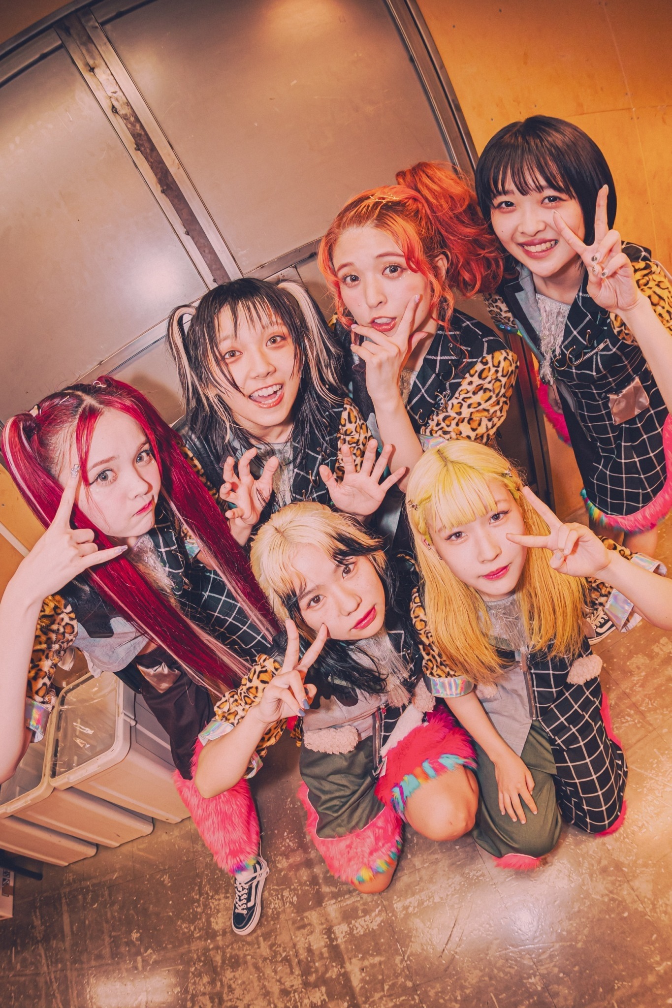 PIGGS（Photo by son_tkhs）